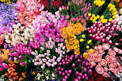 玩家完成《暗黑2》惊人挑战 不用物理法术攻击通关地狱